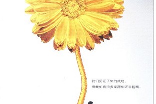 宝华城立方 兴城二手房